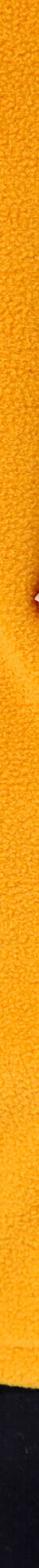 Veste polaire zippée manches longues (curry) Veste polaire zippée manches longues (curry)